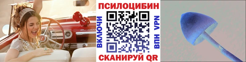 как найти наркотики  Ахтырский  Галлюциногенные грибы Psilocybe 